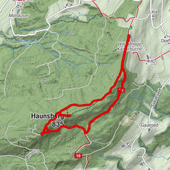 Haunsberg Kaiserbuche