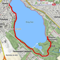 Tata - Regenerálódás