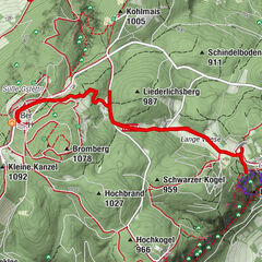 Hohe Wand, Niederösterreich/Österreich