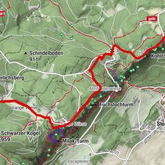 Hohe Wand, Niederösterreich/Österreich