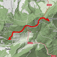 Platten, Oberösterreich/Österreich