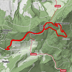 Platten, Oberösterreich/Österreich