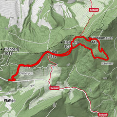 Platten, Oberösterreich/Österreich