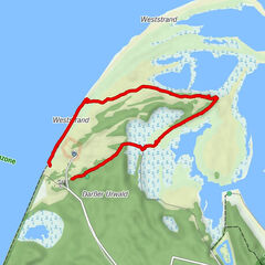 Born a. Darß, Mecklenburg-Vorpommern/Deutschland