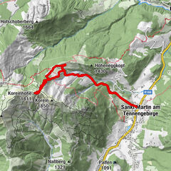 Sankt Martin am Tennengebirge_Korein