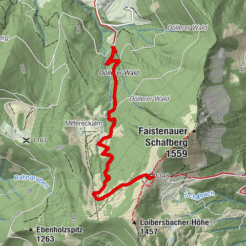 Faistenau, Salzburg/Österreich