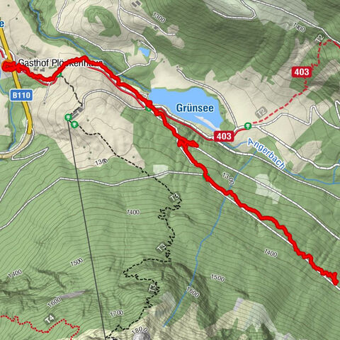 Kötschach-Mauthen, Kärnten/Österreich