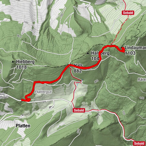 Platten, Oberösterreich/Österreich