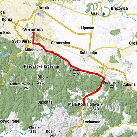 Virovitica CESTOVNI