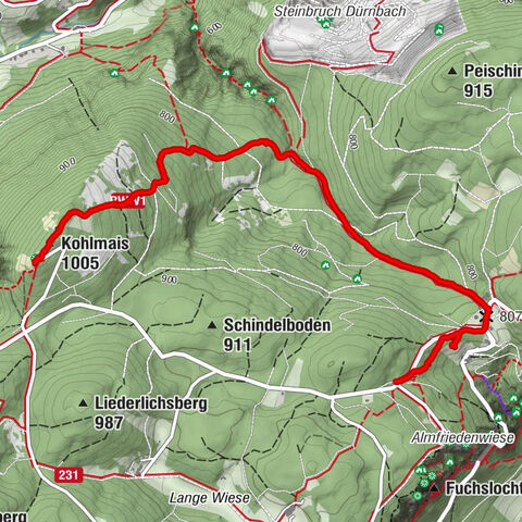 Hohe Wand, Niederösterreich/Österreich