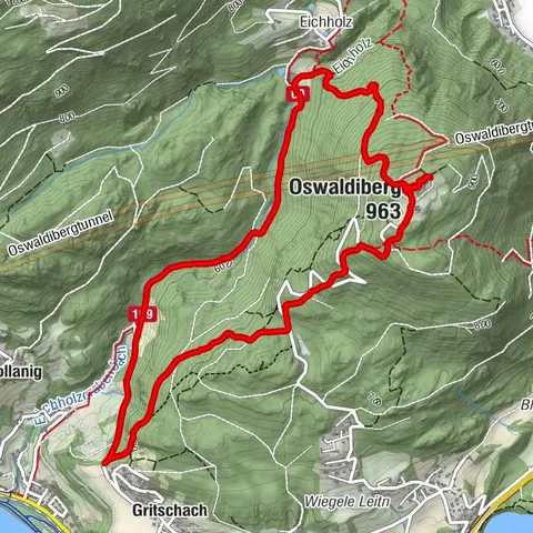 Oswaldiberg 62