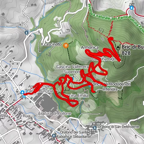 Pollone - Allenamento di corsa ripetute