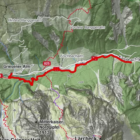 Kirchdorf in Tirol, Tirol/Österreich