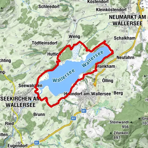 Wallersee-Ostbucht, Salzburg/Österreich