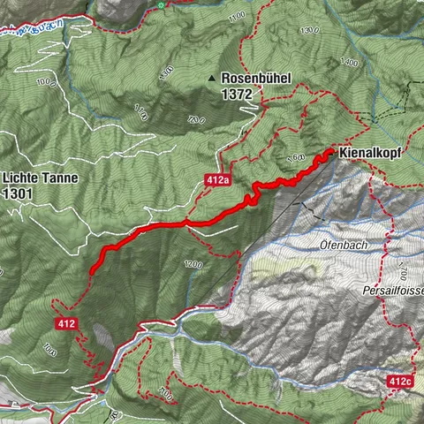 Saalfelden am Steinernen Meer, Salzburg/Österreich