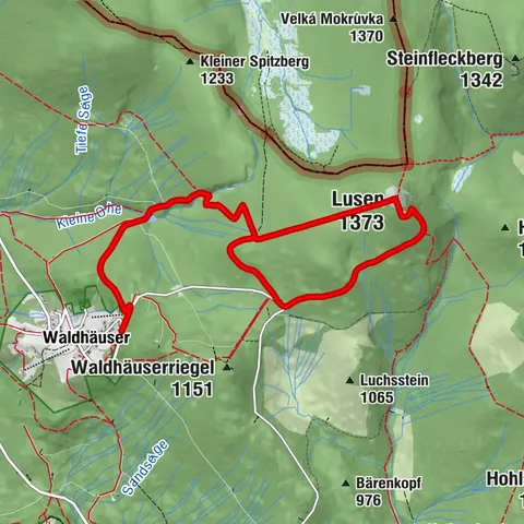 Große Lusenrunde ab Waldhäuser