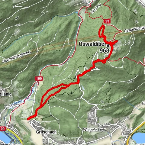 Oswaldiberg 135