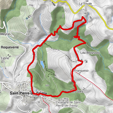 Trivalle walks and variants