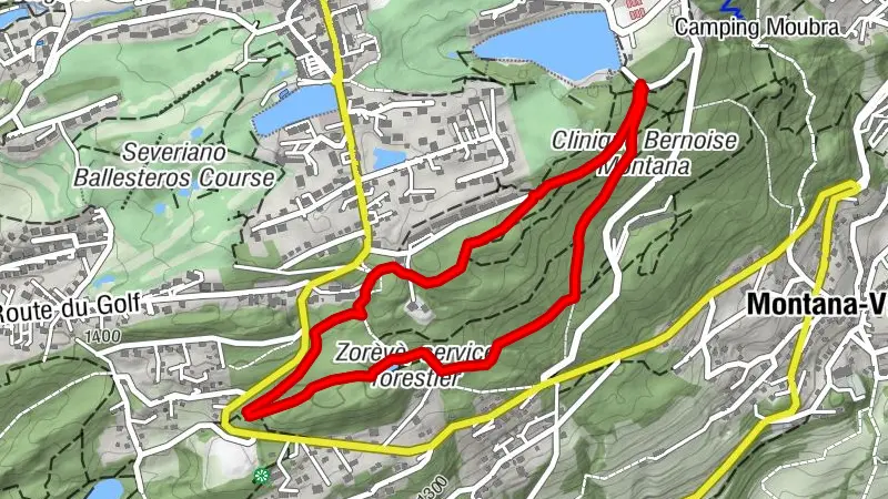 Family Forest Loop