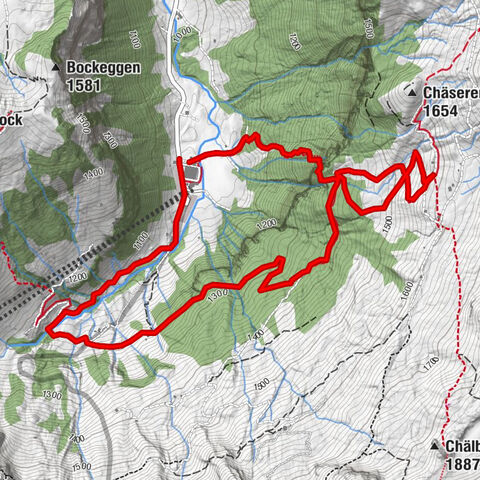 mittel- leichte Wanderung zur Drusberghütte