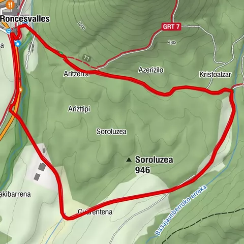 Navarra - Bosque de Basajaunberro. Orreaga/Roncesvalles