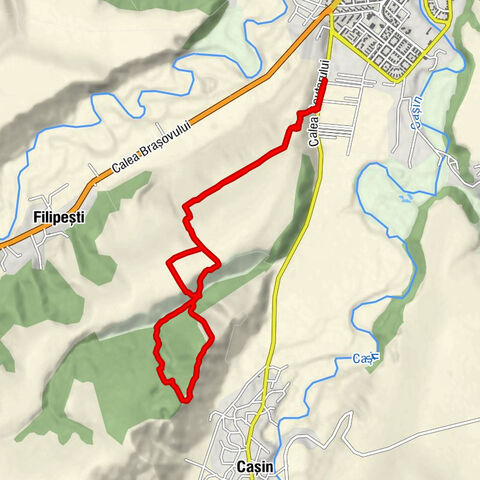 Oneşti, 11.04