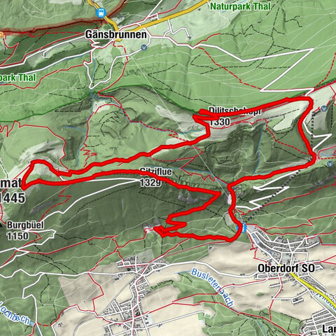 Hasenmatt Dilitschopf und co