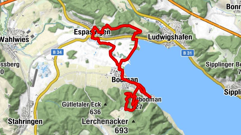 Burgenweg 11 Über den Spittelsberg von Bodman nach Espasingen