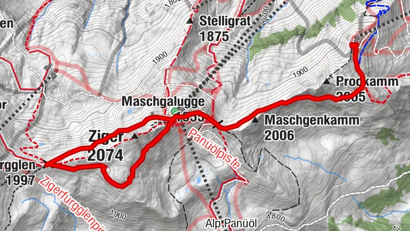 Alpine Flora Trail Flumserberg