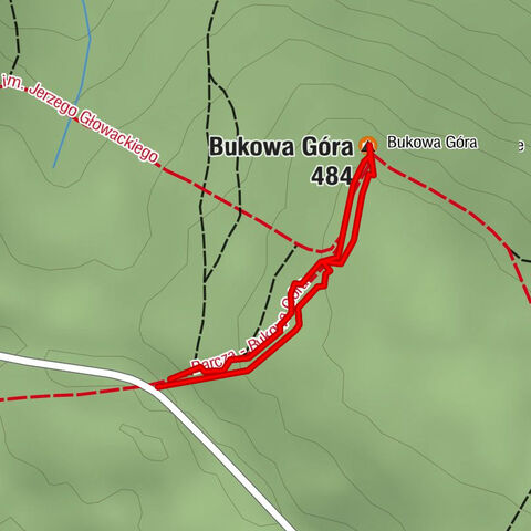 Bukowa Góra, Pasmo Klonowskie 484 m