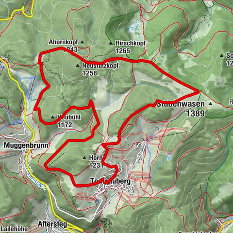 Stübenwasen mit Aussicht