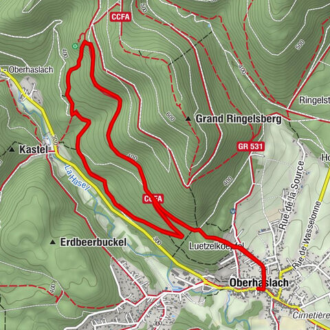 Hiking Towards the Giants of Nideck - Symposium