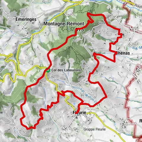 B5 Mountain Bike Tour from Fleurie to Chénas