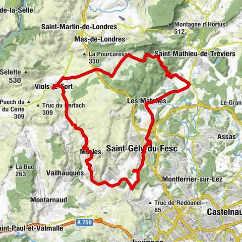 WINE ROUTE IN THE SHADOW OF THE CHATEAU DE MONTFERRAND