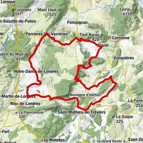 WINE ROUTE - VINES IN LANDSCAPES