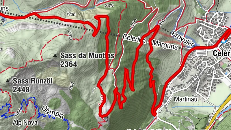 Alp experience with Mevina and Neves