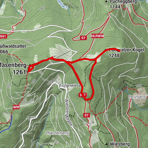 Runde am Masenberg, Pöllauberg