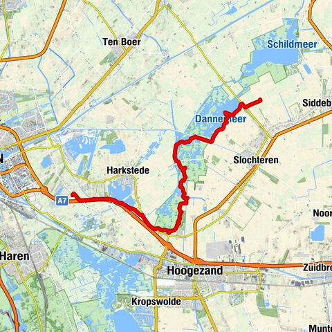 wildemansheerd - Helleborus. Roots etappe 2/3