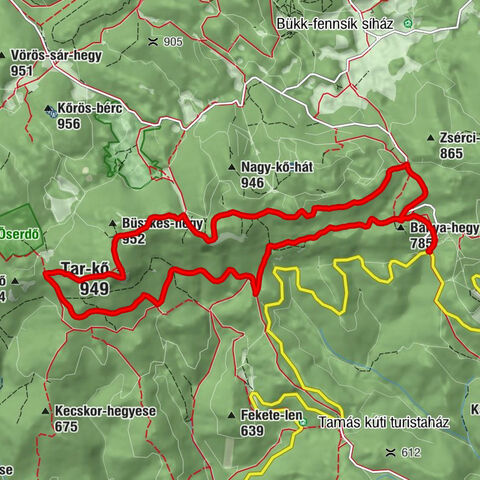Bánya-hegyi elágazás - Három-kő - Tar-kő - Muflon-kő