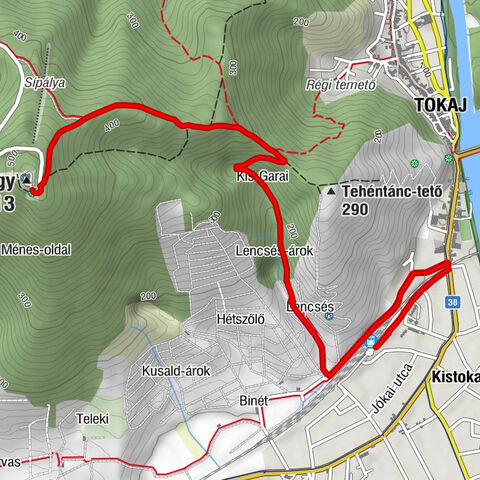 Tokaj - Tokaji-hegy - Kopasz-hegy
