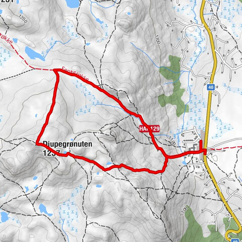 Nore og Uvdal - Djupegrønuten
