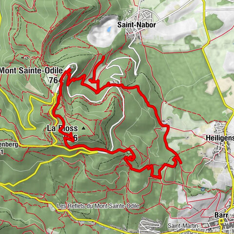 Randonnée du Mont Saint Odile