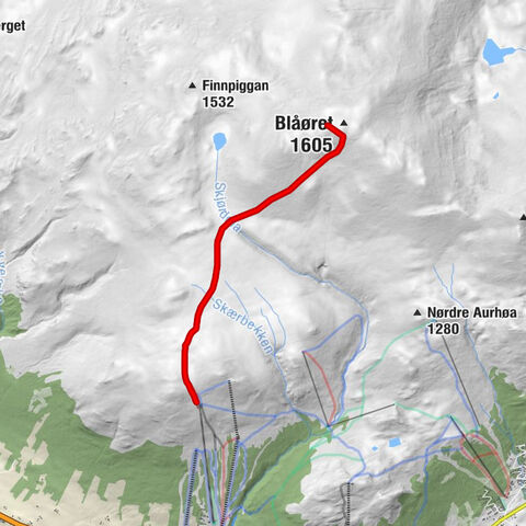 Oppdal - Blåøret