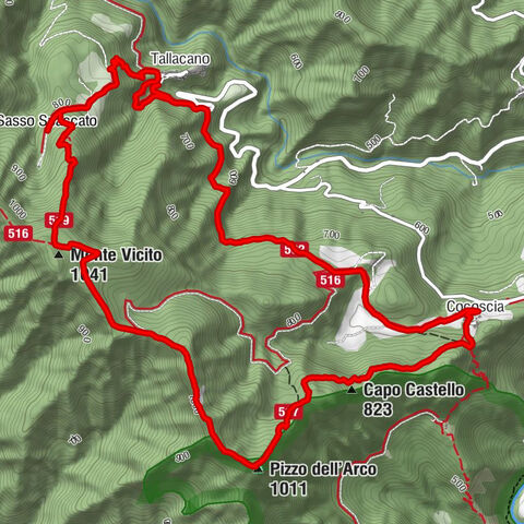 Acquasanta Terme - Monte Vicito - Pizzo dell'Arco - Capo Castello