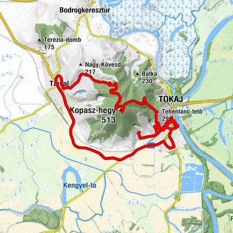 Tokaj - Tehéntánc-tető - Tokaji-hegy - Kopasz-hegy