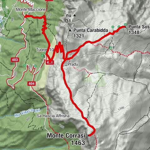 Monte Maccione - Iscal 'e Pradu - Monte Corrasi - Punta Sos Nidos