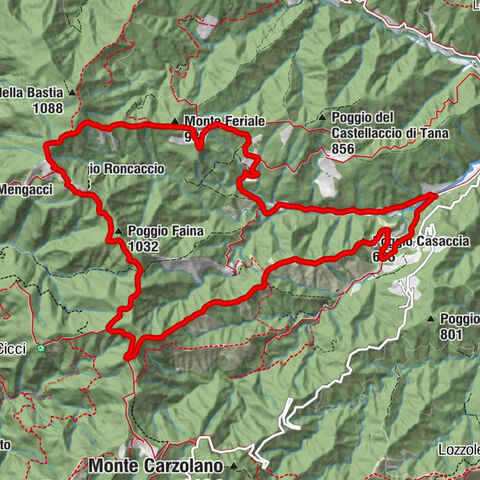 Palazzuolo sul Senio - Poggio Faina - Poggio Roncaccio - Monte Feriale