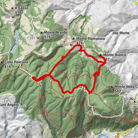 Fossombrone - Monte Bianco
