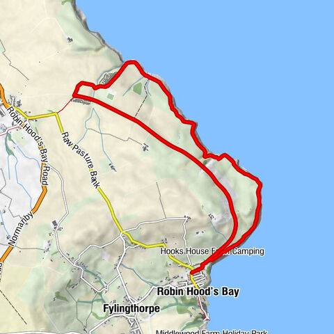 Robin Hood's Bay - Old Lance Cliff - Bulmer Steel - Coast Cafe Bar