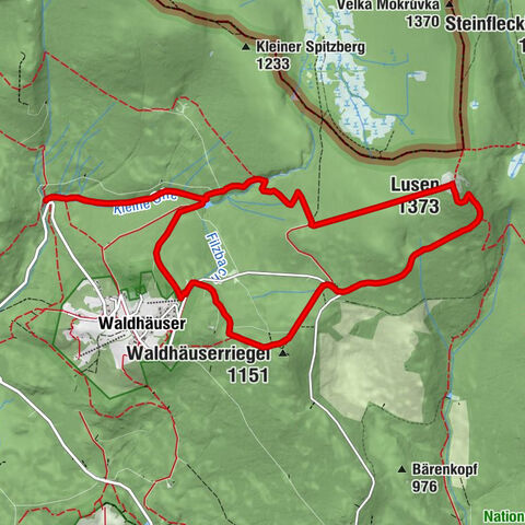 Waldhäuser Wald - Lusen - Waldhäuserriegel - Neuschönau